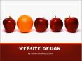 China Professional Web develop company