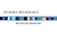 SENSORY PHYSIOLOGY