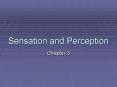 Sensation and Perception