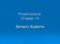 PowerLecture: Chapter 14