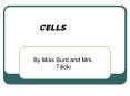 CELLS