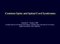Common Spine and Spinal Cord Syndromes