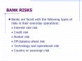 BANK RISKS