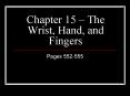 Chapter 15 The Wrist, Hand, and Fingers
