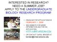 INTERESTED IN RESEARCH NEED A SUMMER JOB APPLY TO THE UNDERGRADUATE BIOLOGY RESEARCH PROGRAM