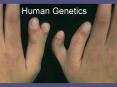 Human Genetics