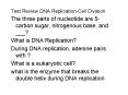 Test Review DNA ReplicationCell Division