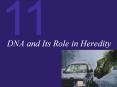 DNA and Its Role in Heredity
