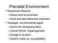 Prenatal Environment