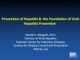 Prevention of Hepatitis B: the Foundation of Viral Hepatitis Prevention