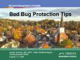 Bed Bug Protection Tips