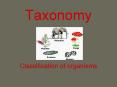 Taxonomy