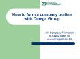 How to form a company online with Omega Group