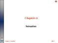 Chapters 6