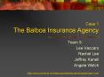 Case 1 The Balboa Insurance Agency
