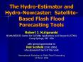 The HydroEstimator and HydroNowcaster: SatelliteBased Flash Flood Forecasting Tools
