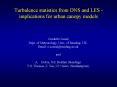 Turbulence statistics from DNS and LES implications for urban canopy models