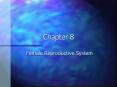 Female Reproductive System