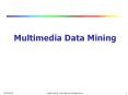 Multimedia Data Mining