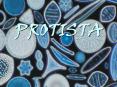 PROTISTA