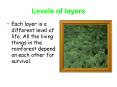 Levels of layers