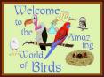 Birds, Birds, Birds