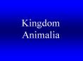 Kingdom Animalia