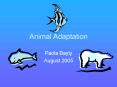 Animal Adaptation