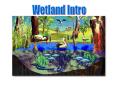 Wetland Intro