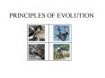 PRINCIPLES OF EVOLUTION