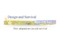 Design and Survival