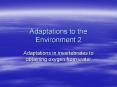 Adaptations to the Environment 2