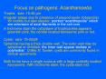 Focus on pathogens: Acanthamoeba