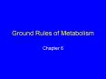 Ground Rules of Metabolism