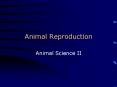Animal Reproduction
