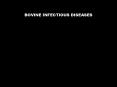 BOVINE INFECTIOUS DISEASES