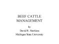 BEEF CATTLE MANAGEMENT