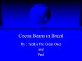 Cocoa Beans in Brazil