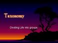 Taxonomy