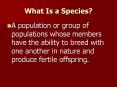 What Is a Species