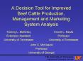 A Decision Tool for Improved Beef Cattle Production, Management and Marketing System Analysis