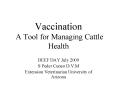 Vaccination A Tool for Managing Cattle Health