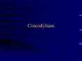 Crocodylians