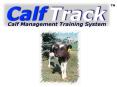 What is CalfTrack
