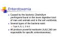 Enterotoxemia