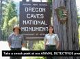 Take a sneak peek at our ANIMAL DETECTIVES presentation