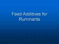 Feed Additives for Ruminants