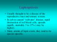 Leptospirosis