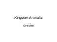 Kingdom Animalia