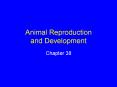 Animal Reproduction and Development